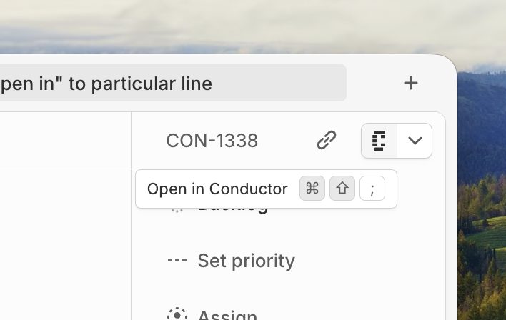 Open from Linear